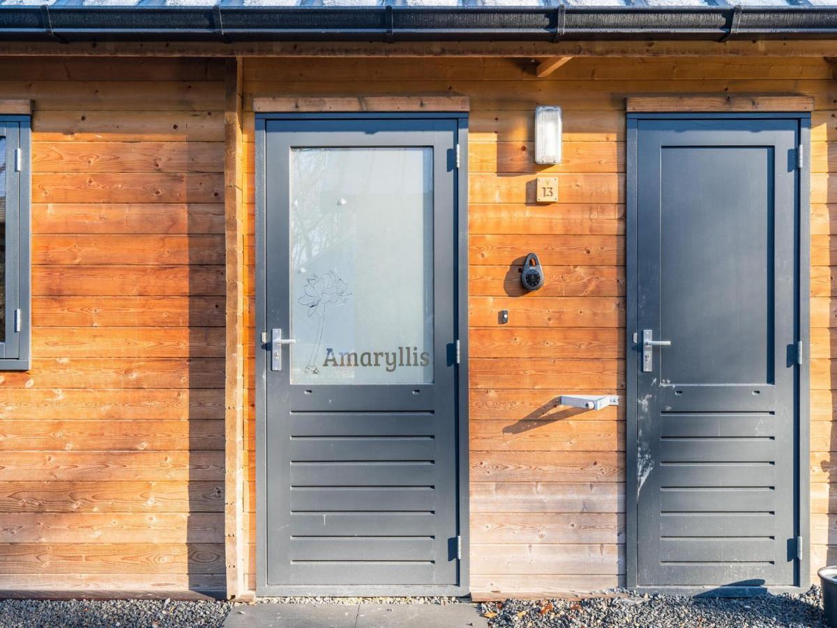 Cosy Wooden House Amid Woods In Soesterberg Utrecht Exterior foto